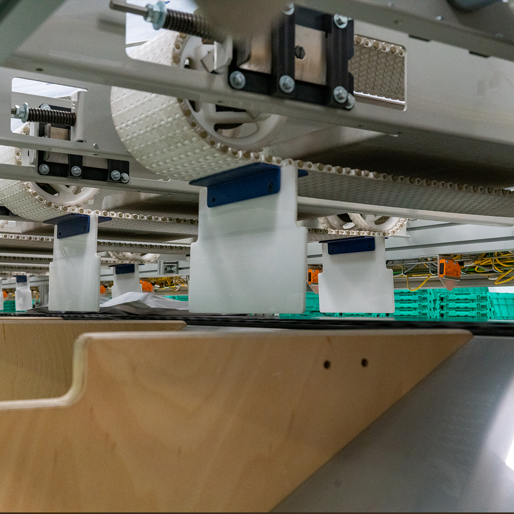 Precision and Reliability in Pharmaceutical Sortation